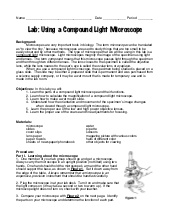 Lab report on microscope